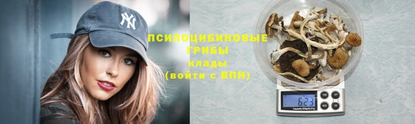 мескалин Бородино