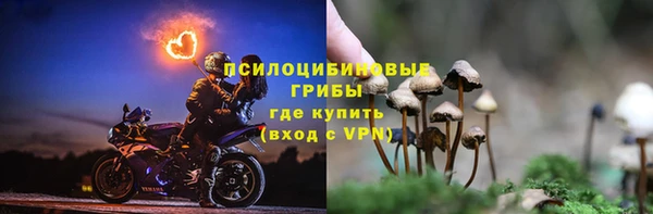 ГАЛЛЮЦИНОГЕННЫЕ ГРИБЫ Слюдянка