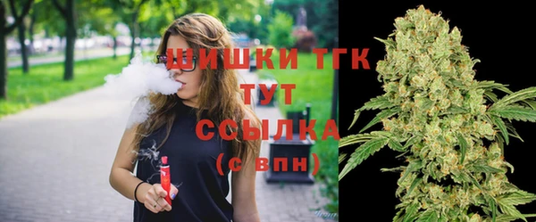 молекула духа Семилуки