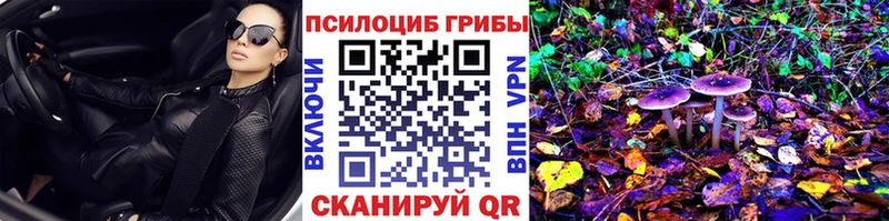 Псилоцибиновые грибы Cubensis  Грайворон 
